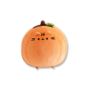 Mochi Pusheen Type A